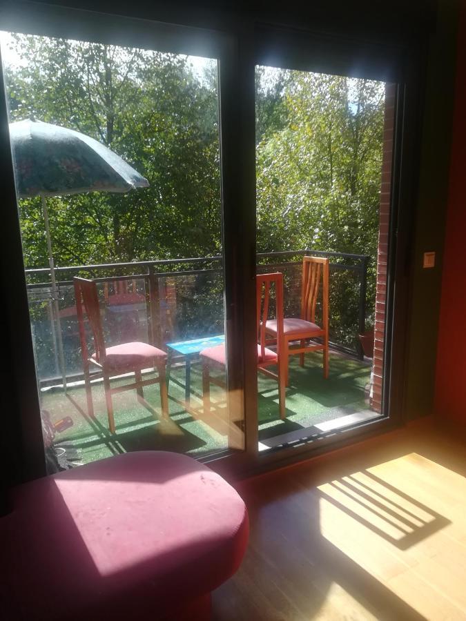 La Terraza De Zahara Apartment Pamplona Luaran gambar